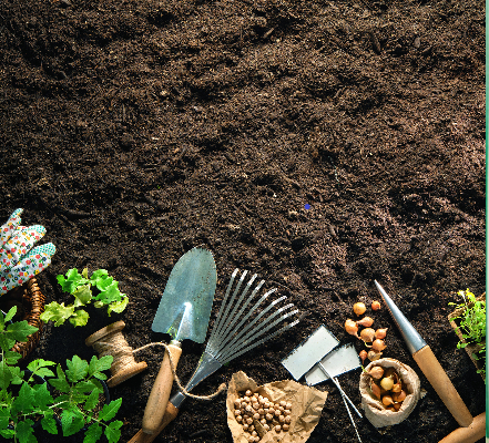 Tools and Soil