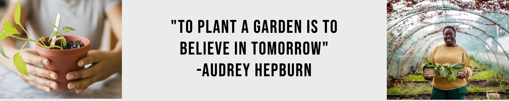 To plant a garden is to believe in tomorrow. Quote by Audrey Hepburn