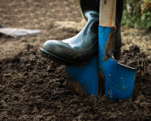 Foot and shovel